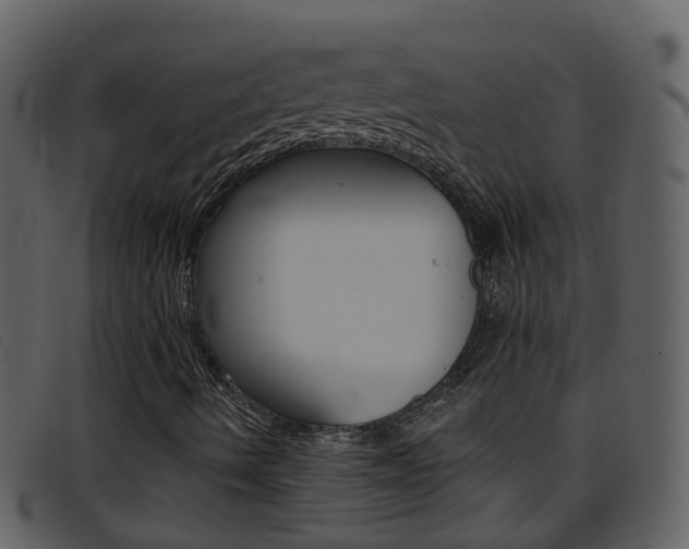 X0000096661490200802050944