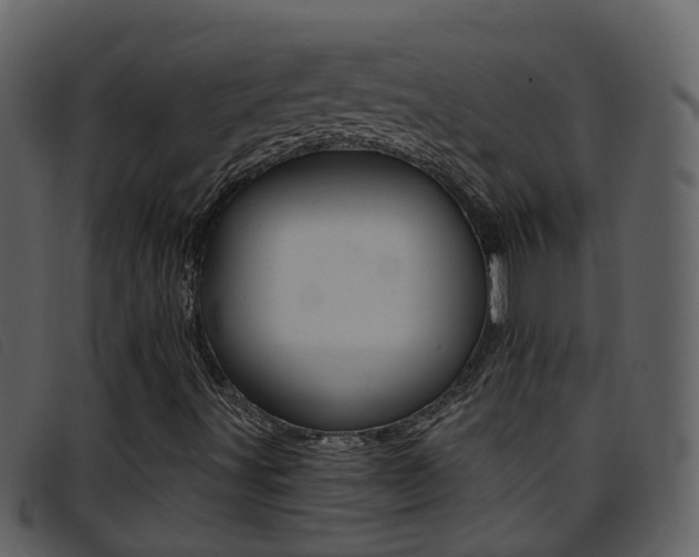 X0000096661491200802050944