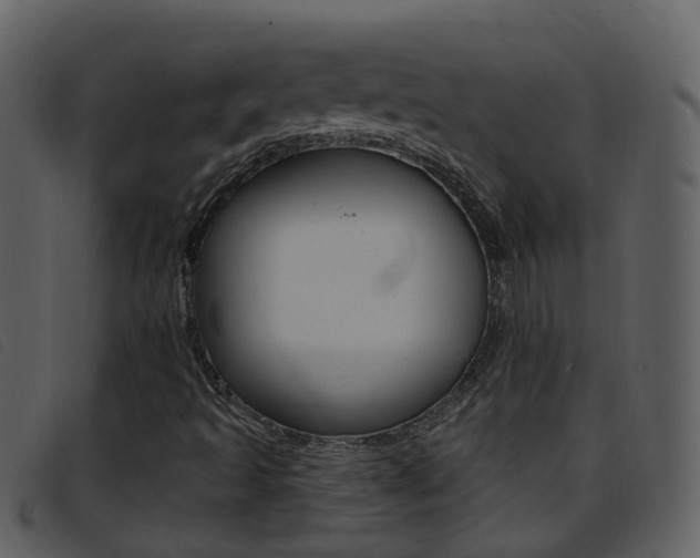 X0000096661493200802050944