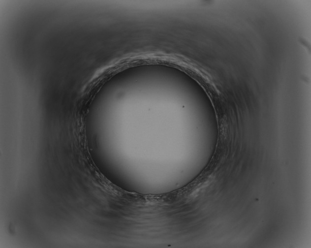 X0000096661494200802050944