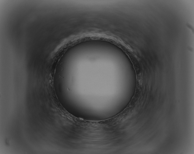 X0000096661495200802050944