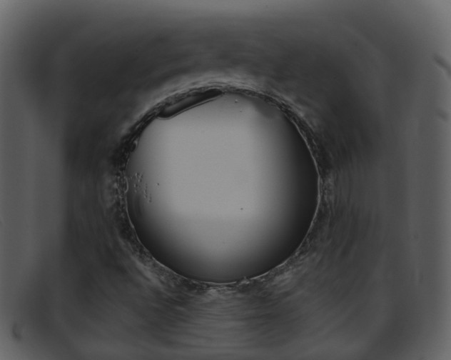 X0000096661496200802050945