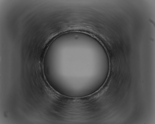 X0000096661497200802050945