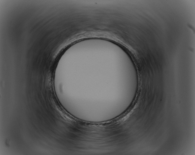 X0000096661498200802050945