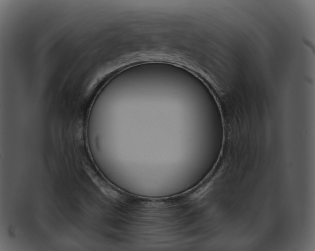 X0000096661499200802050945