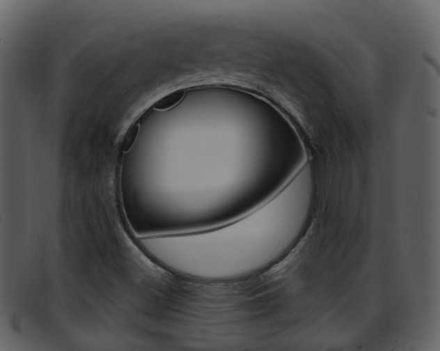 X0000096661500200802050945