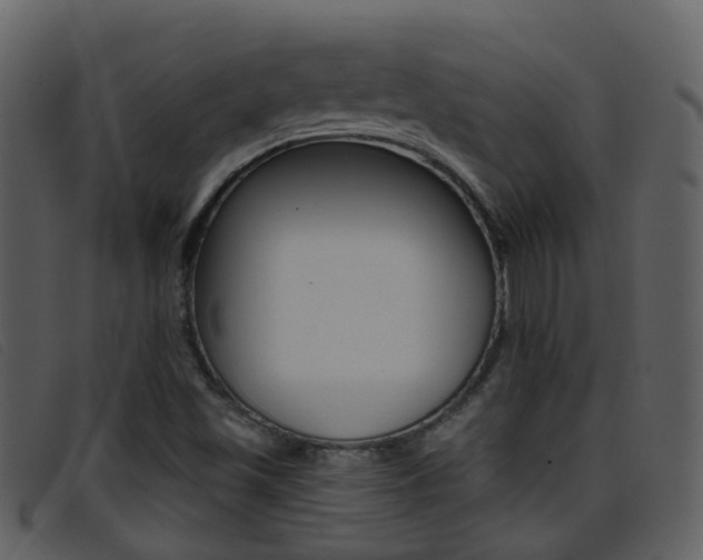 X0000096661501200802050945