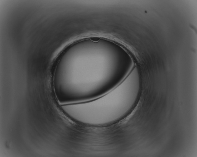 X0000096661502200802050945