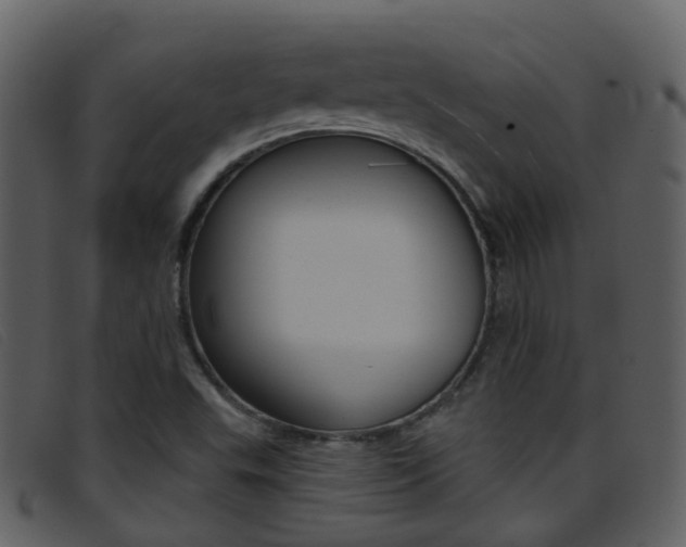X0000096661503200802050945