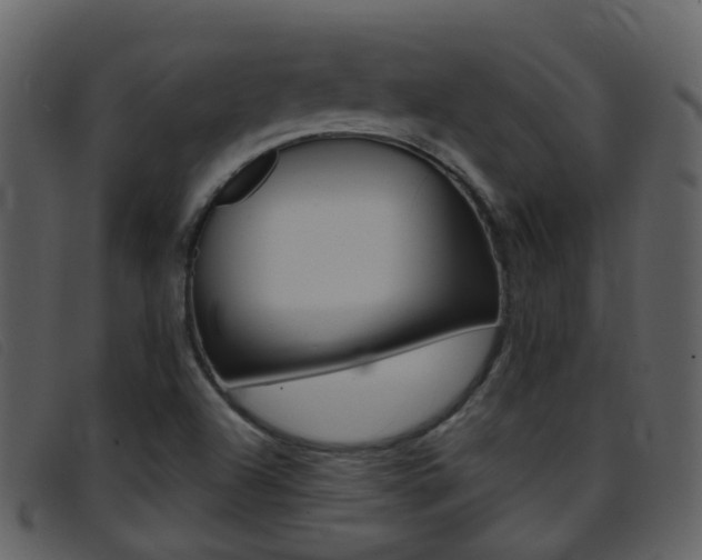 X0000096661504200802050945