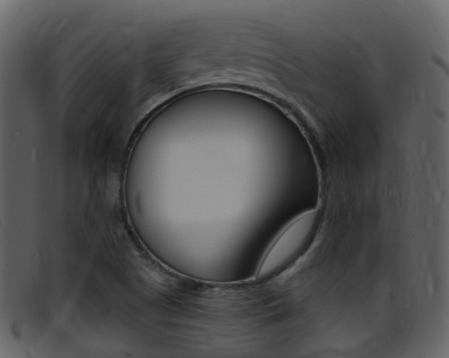 X0000096661505200802050945