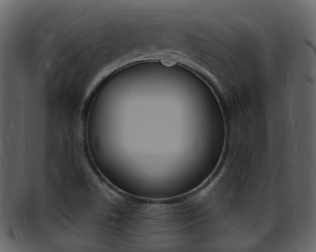 X0000096661506200802050945