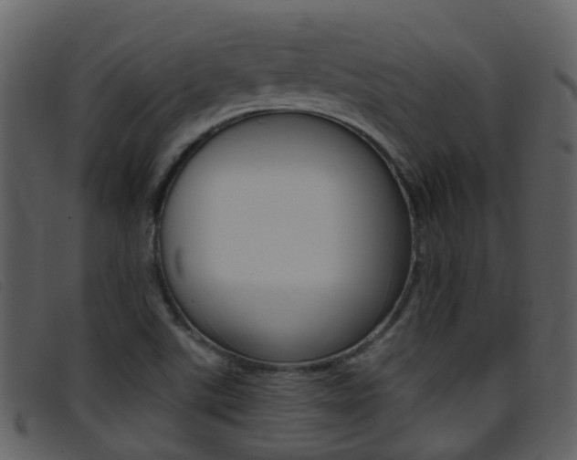 X0000096661507200802050945