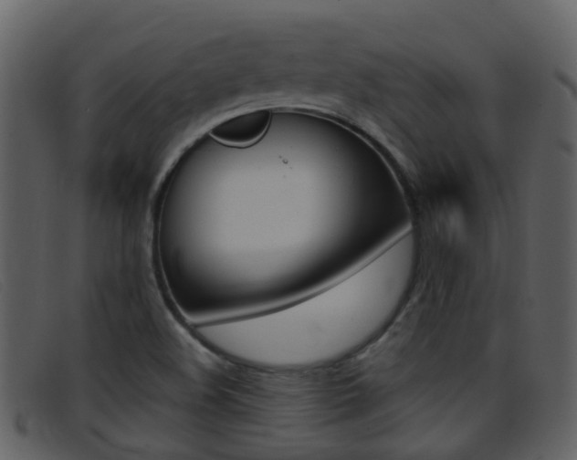 X0000096661508200802050945
