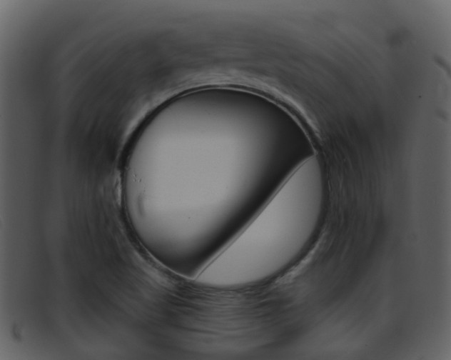 X0000096661509200802050945