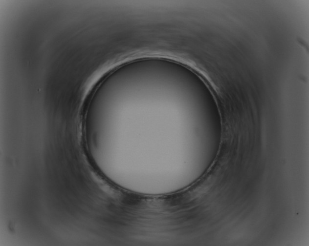 X0000096661511200802050945