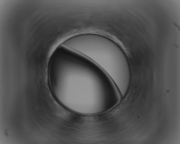 X0000096661512200802050945