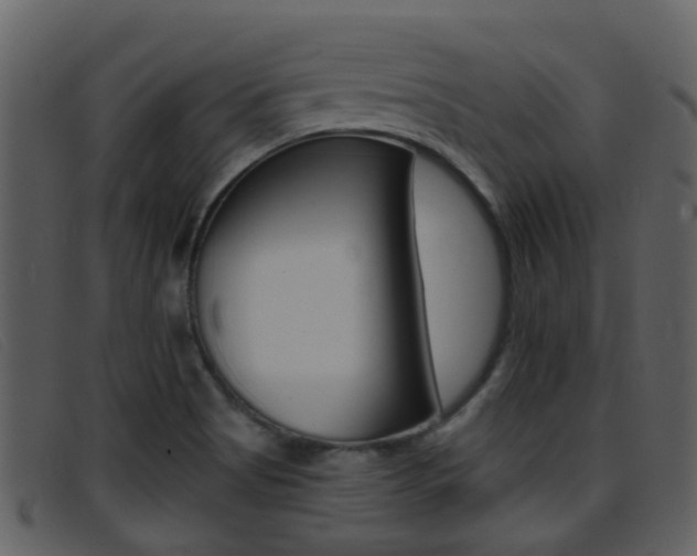 X0000096661513200802050945