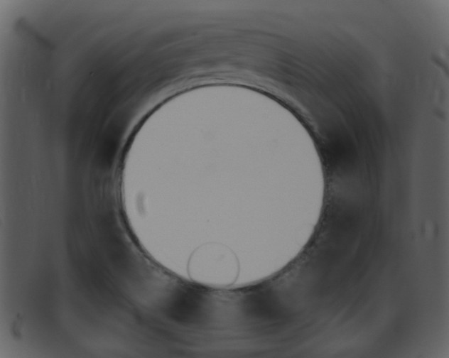 X0000096661514200802050945
