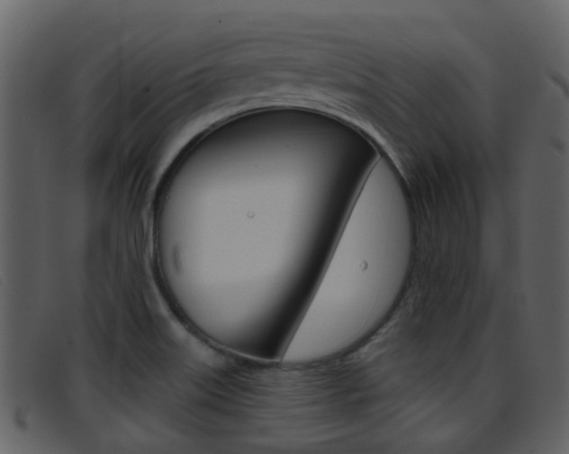 X0000096661515200802050945