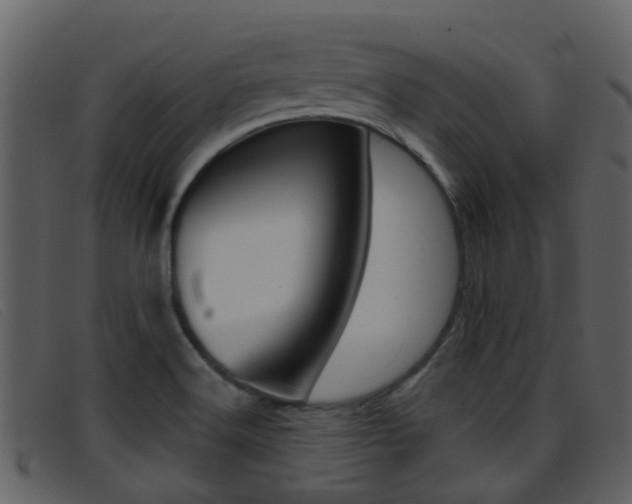 X0000096661516200802050945