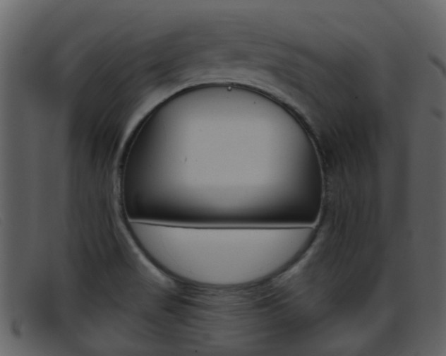 X0000096661517200802050945