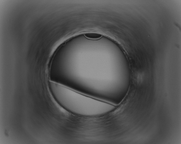 X0000096661519200802050945
