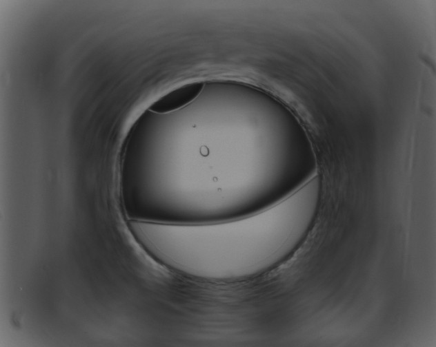 X0000096661520200802050945