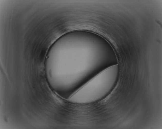 X0000096661521200802050945