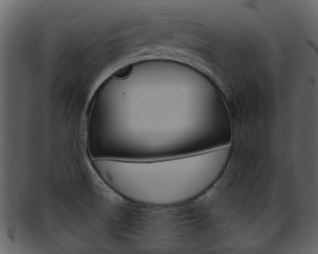 X0000096661522200802050945