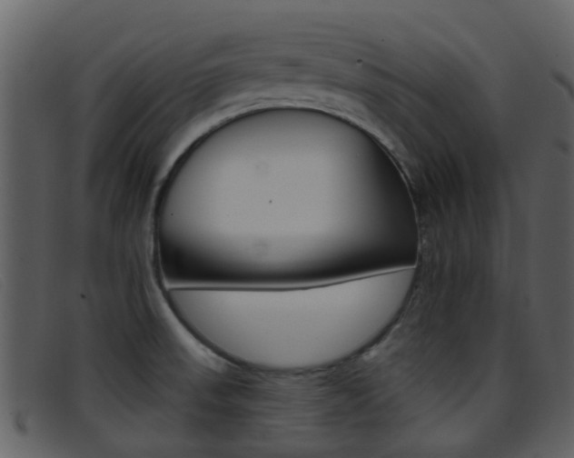X0000096661523200802050945