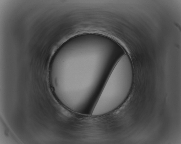 X0000096661525200802050945