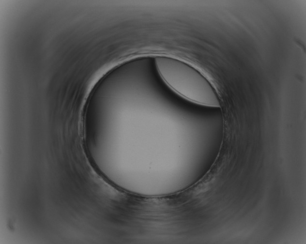 X0000096661527200802050945