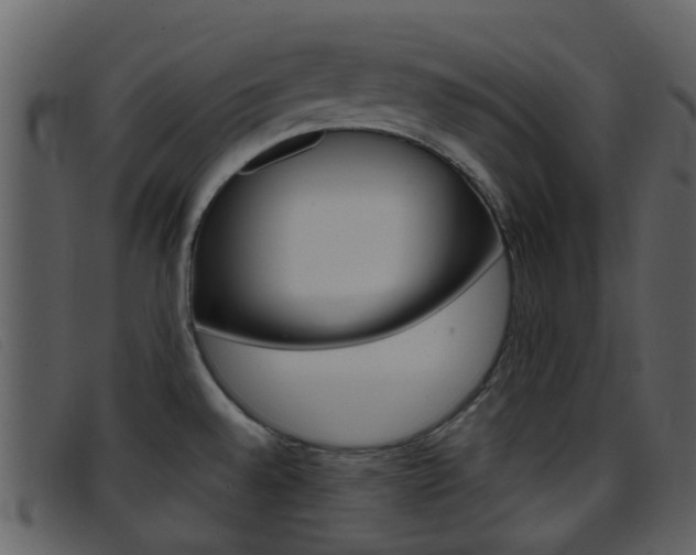 X0000096661528200802050945