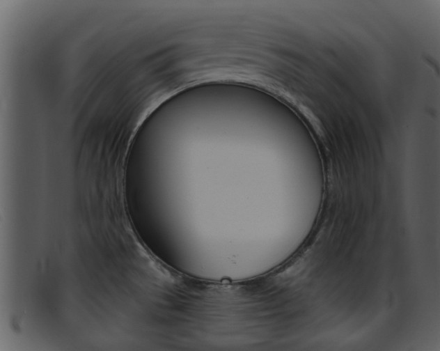 X0000096661529200802050945