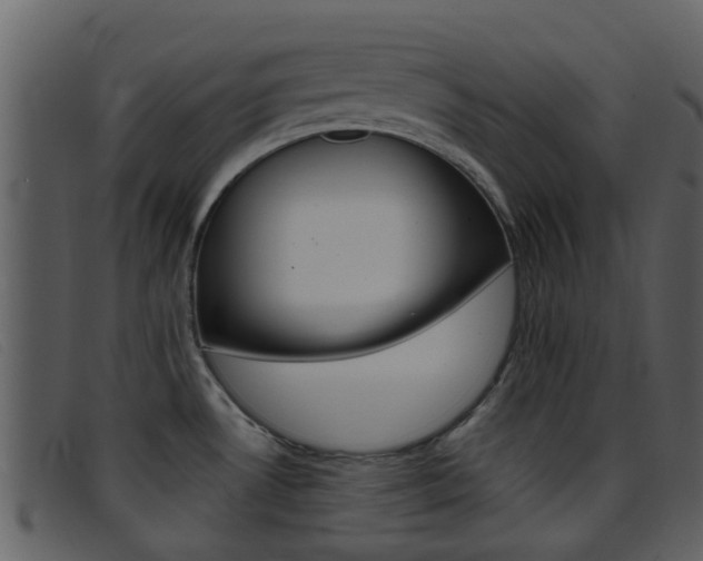 X0000096661530200802050945