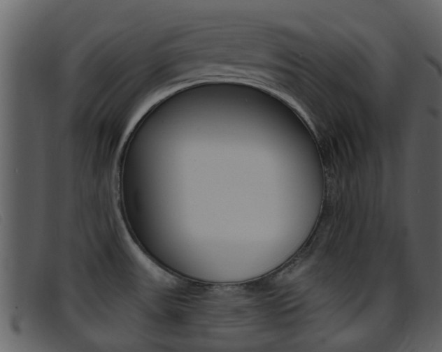 X0000096661531200802050945