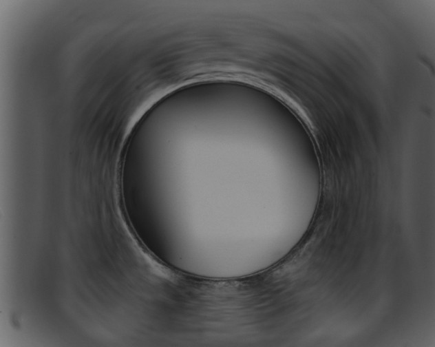 X0000096661533200802050945