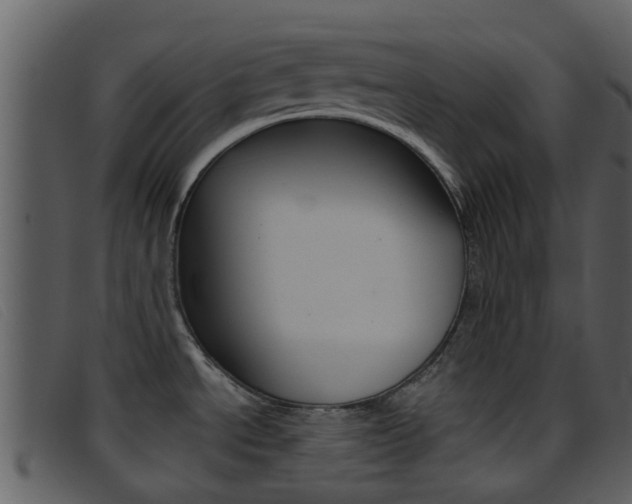 X0000096661534200802050945