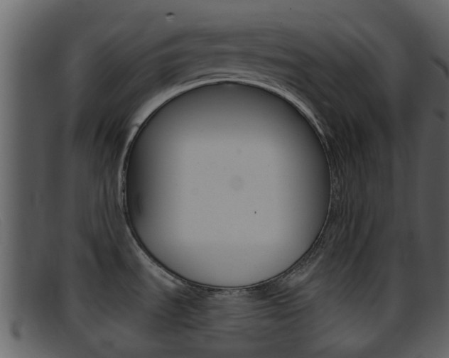 X0000096661535200802050945