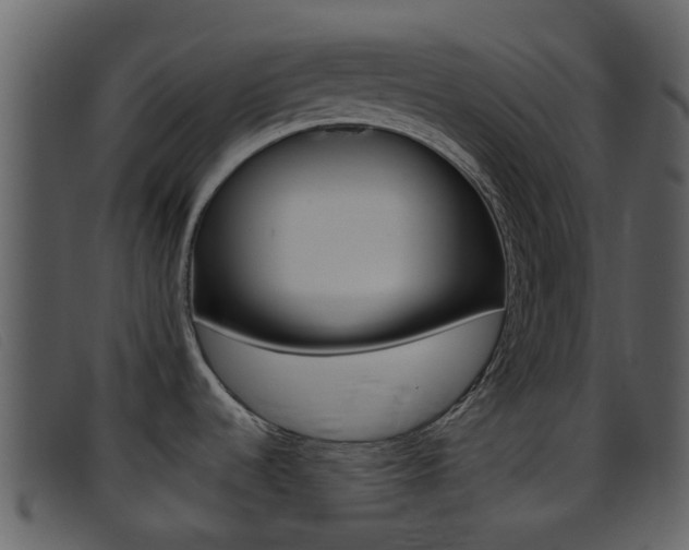 X0000096661536200802050945