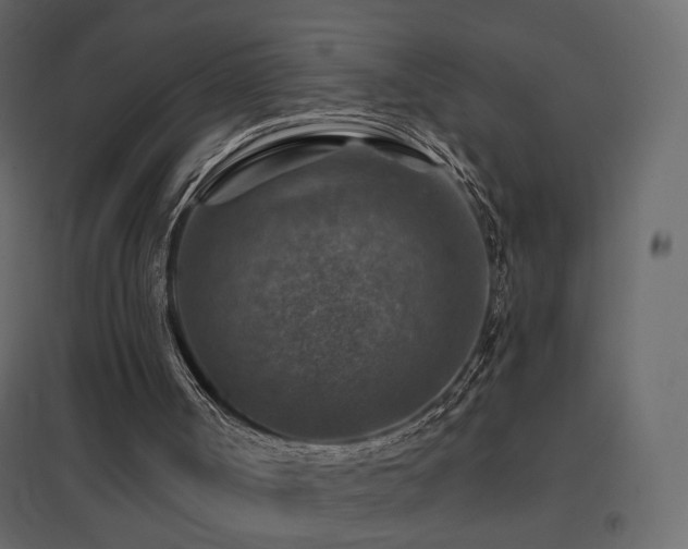 X0000096660002200802051230