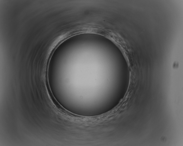 X0000096660003200802051230