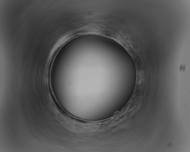 X0000096660004200802051230