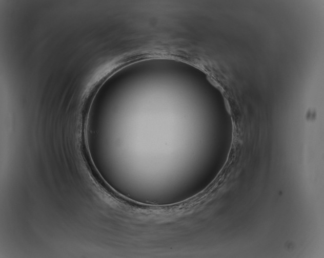 X0000096660005200802051230