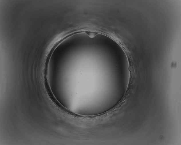 X0000096660007200802051230