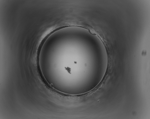 X0000096660008200802051230