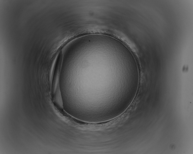 X0000096660009200802051230