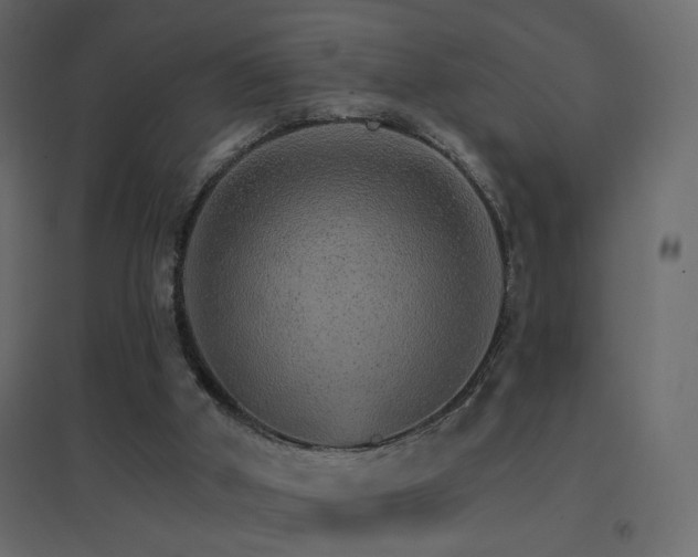 X0000096660010200802051230