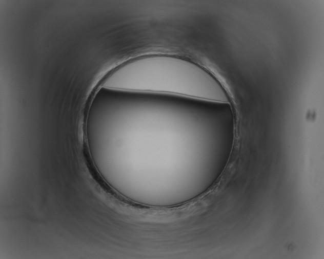 X0000096660011200802051230